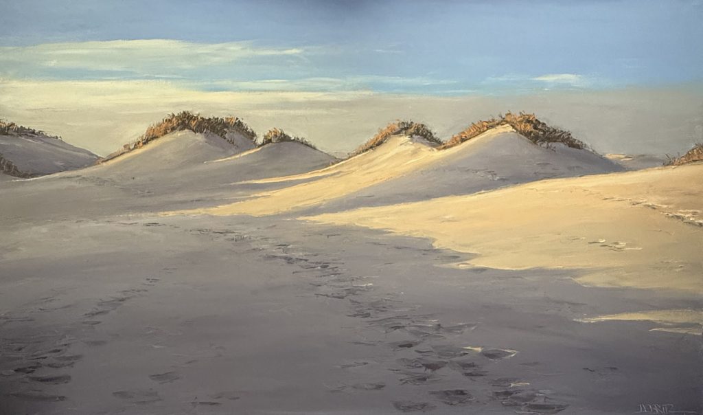 Dünen im Abendlicht
