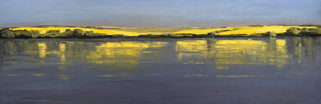 Rapsfelder am See