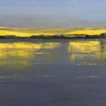 Rapsfelder am See