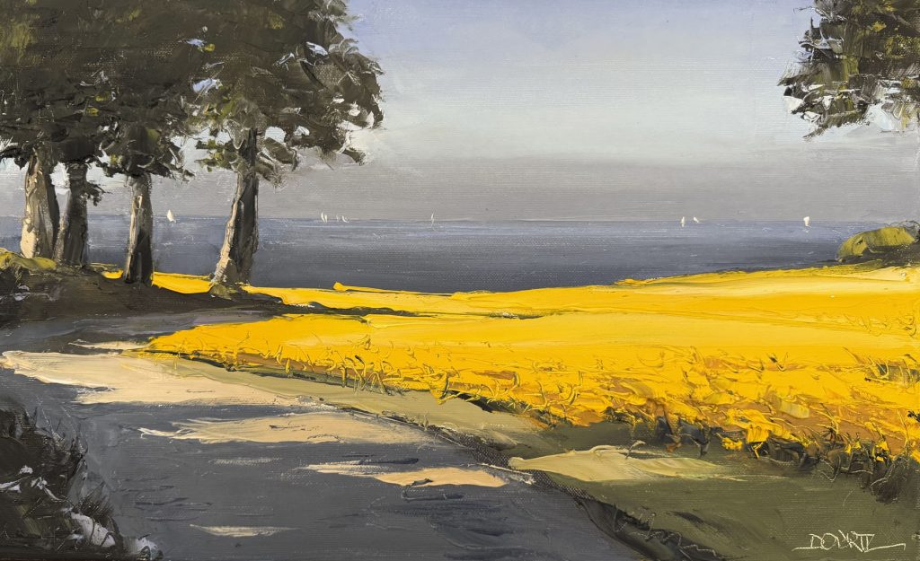 Rapsfelder an der Ostsee