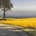 Rapsfelder an der Ostsee