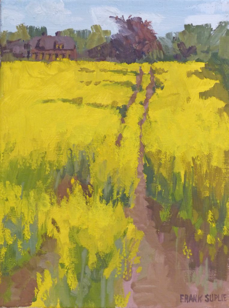 Spuren im Rapsfeld Wippendorf